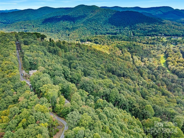 birds eye view of property with a mountain view