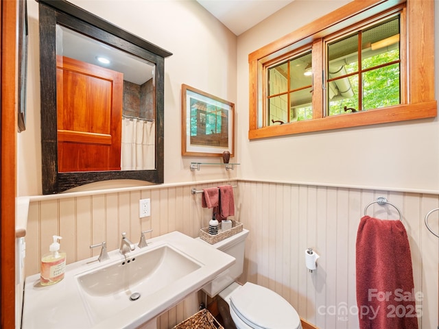 393 Deer Trail Dr, Burnsville, NC 28714 - full bathroom with wainscoting, a shower with curtain, a sink, and toilet