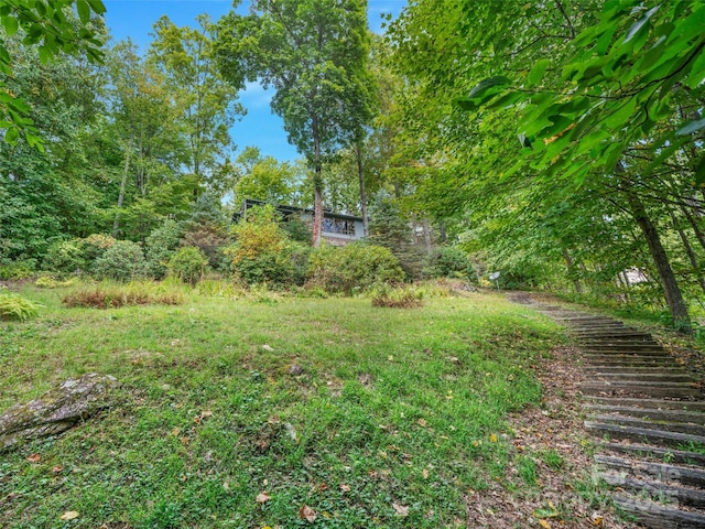 393 Deer Trail Dr, Burnsville, NC 28714 - view of yard