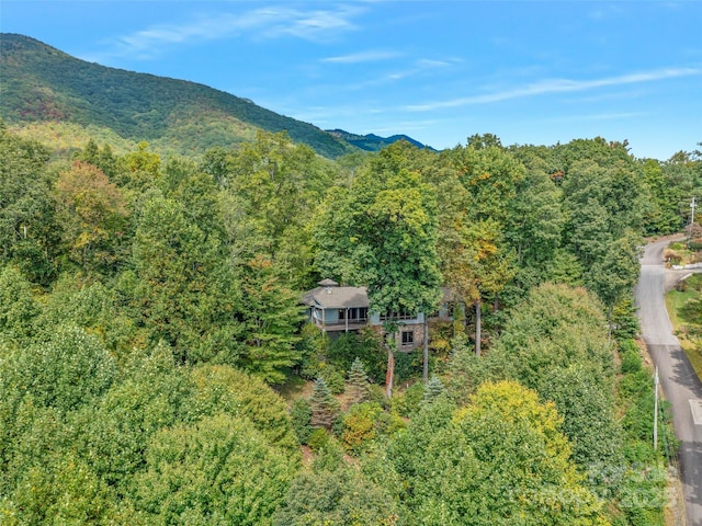 393 Deer Trail Dr, Burnsville, NC 28714 - drone / aerial view with a forest view and a mountain view
