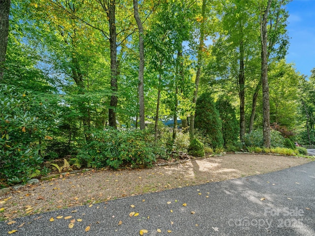 393 Deer Trail Dr, Burnsville, NC 28714 - view of road with a forest view