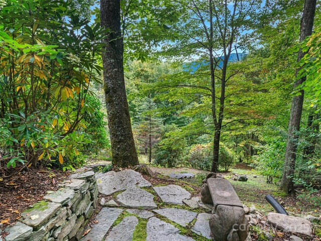 393 Deer Trail Dr, Burnsville, NC 28714 - view of local wilderness with a view of trees