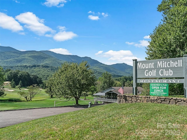 393 Deer Trail Dr, Burnsville, NC 28714 - view of community featuring a yard and a mountain view
