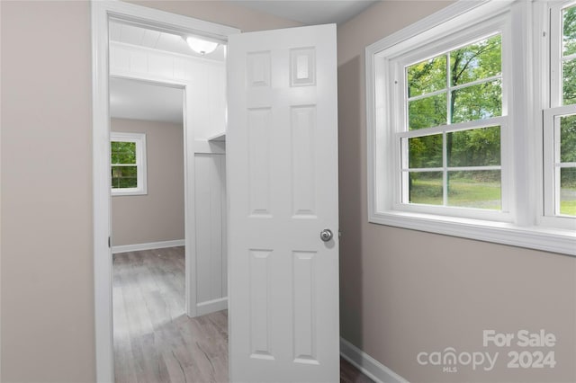 hall with light hardwood / wood-style flooring and plenty of natural light