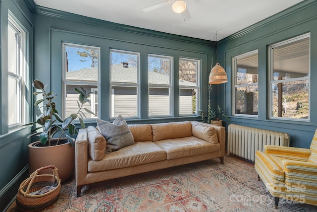 22 Kenilwood Pl, Asheville, NC 28803 - sunroom / solarium featuring radiator