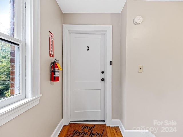 doorway with wood-type flooring and plenty of natural light