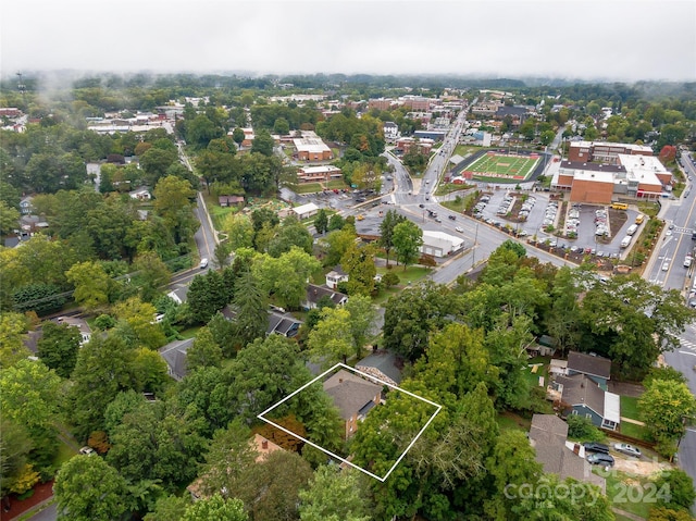 bird's eye view