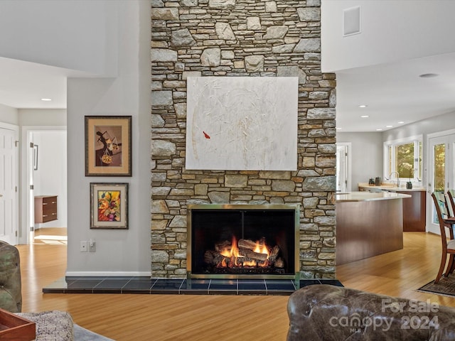 living room featuring a fireplace and wood-type flooring