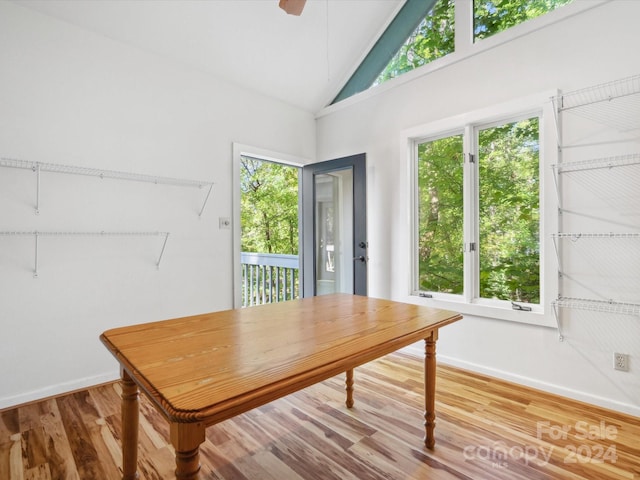 dining area featuring light hardwood / wood-style floors, high vaulted ceiling, and a wealth of natural light