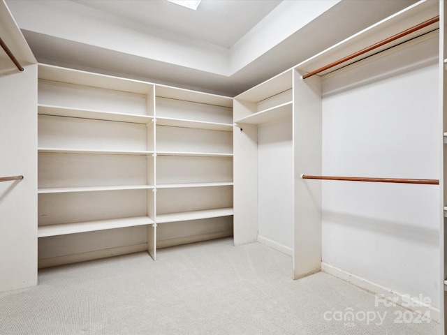 walk in closet featuring light carpet