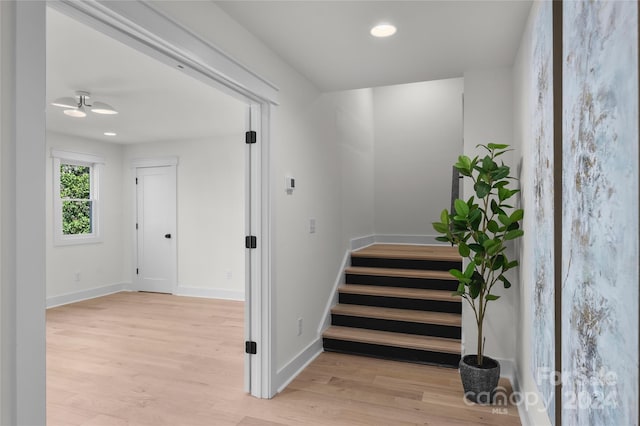 staircase featuring wood-type flooring