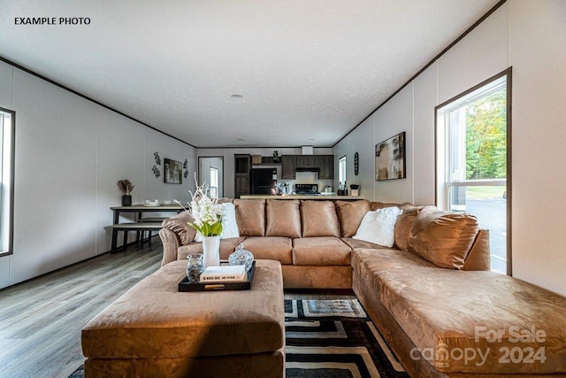 living room featuring a textured ceiling, crown molding, and hardwood / wood-style floors