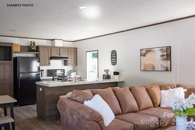 living room featuring ornamental molding, a textured ceiling, dark wood-type flooring, and sink