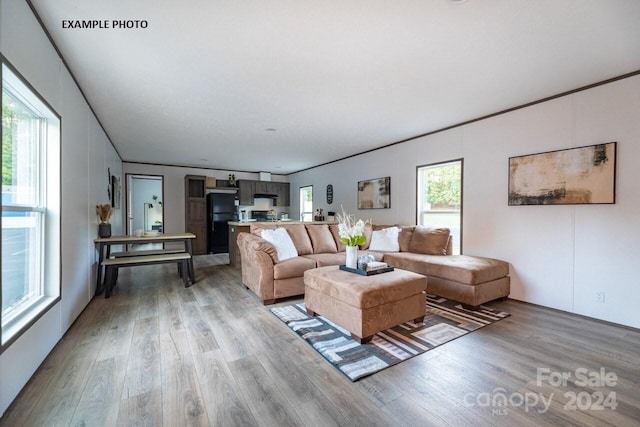 living room with light hardwood / wood-style flooring and a wealth of natural light