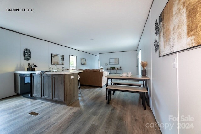 kitchen featuring dark wood-type flooring and sink