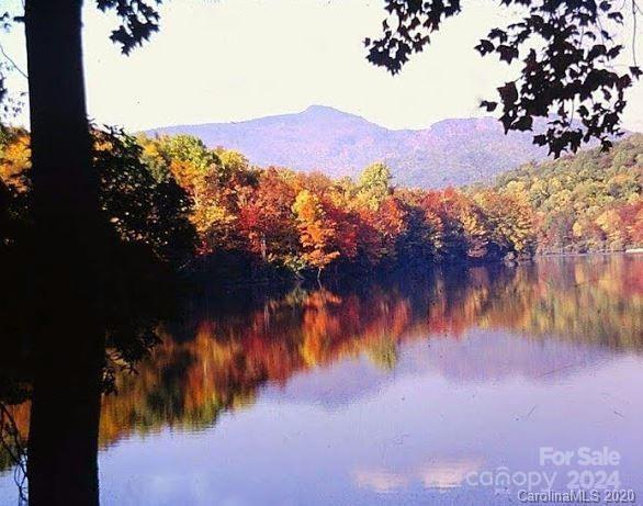 water view with a mountain view