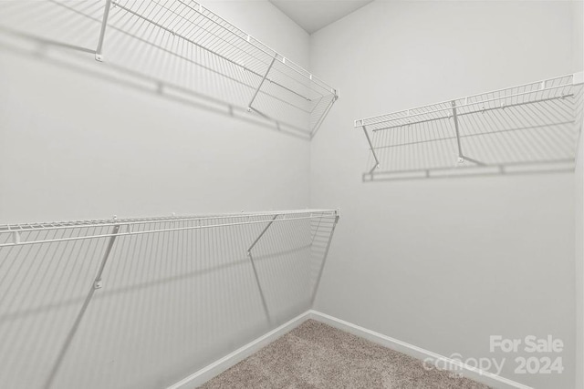 walk in closet featuring carpet floors