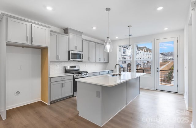 kitchen featuring stainless steel appliances, gray cabinetry, a sink, a kitchen island with sink, and wood finished floors