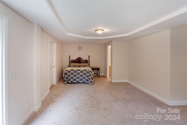 bedroom featuring carpet and a raised ceiling