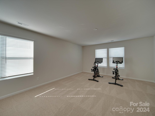 exercise room featuring light carpet