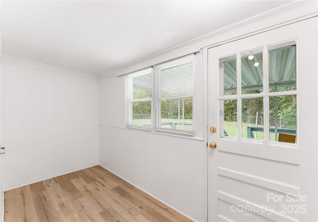 doorway to outside featuring crown molding and light wood-type flooring