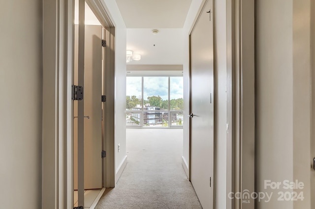 hall featuring light colored carpet