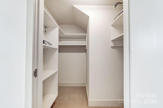 walk in closet with light carpet