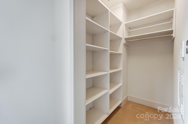 walk in closet with light carpet