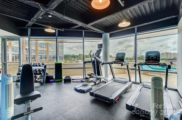 exercise room featuring floor to ceiling windows and a wealth of natural light