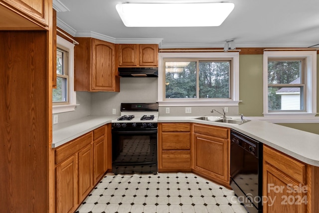 kitchen featuring crown molding, sink, and black appliances