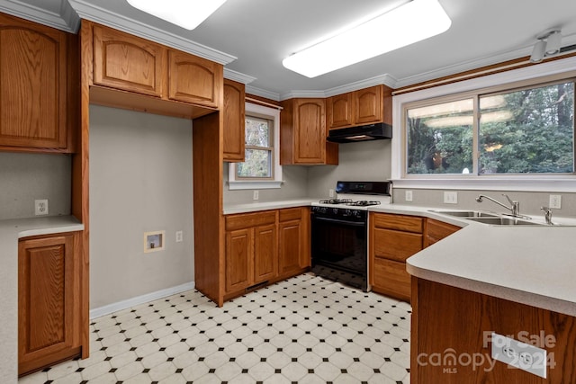 kitchen featuring gas stove, crown molding, and sink