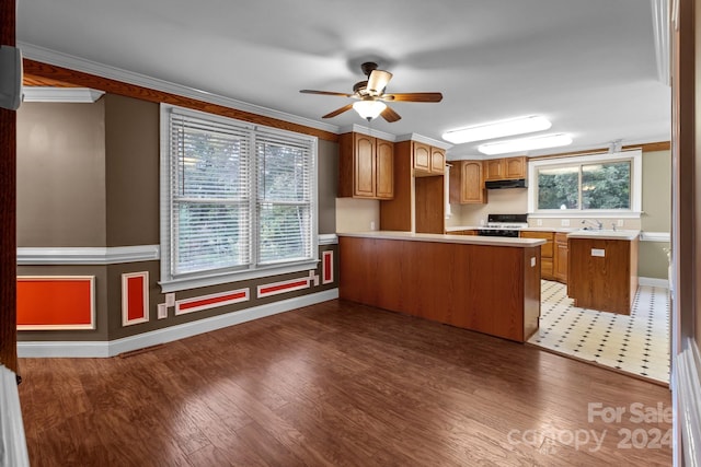 kitchen featuring ceiling fan, dark hardwood / wood-style floors, black range with gas cooktop, and a wealth of natural light