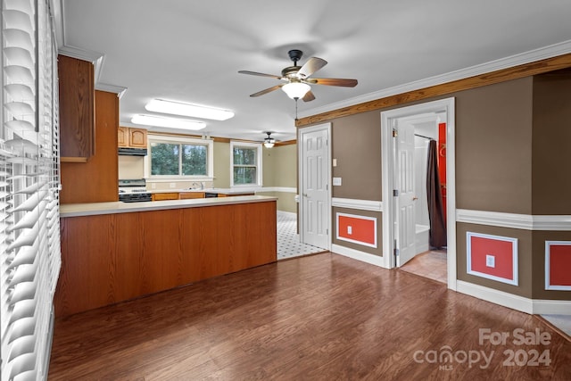 kitchen with ceiling fan, ornamental molding, hardwood / wood-style floors, kitchen peninsula, and black range oven