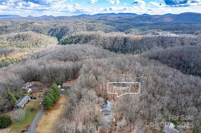 birds eye view of property with a mountain view