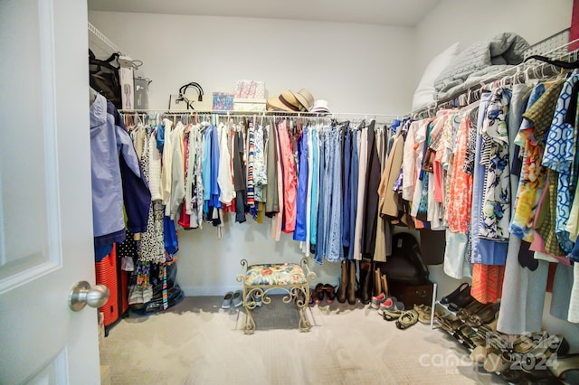spacious closet with carpet flooring