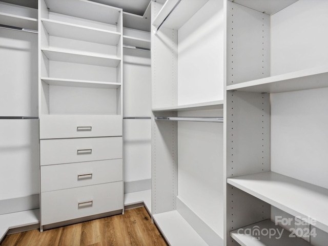 spacious closet with hardwood / wood-style floors