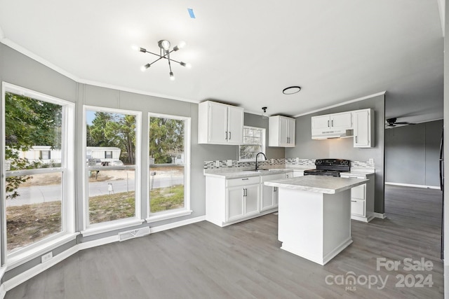 kitchen with white cabinetry, black stove, and plenty of natural light