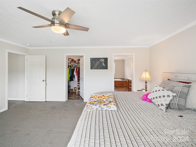 carpeted bedroom featuring ornamental molding, a closet, ceiling fan, and a walk in closet