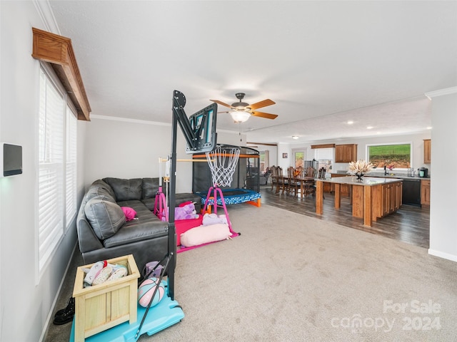 living room with ornamental molding, ceiling fan, and hardwood / wood-style flooring