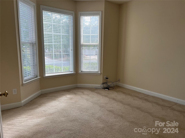 carpeted empty room featuring a wealth of natural light