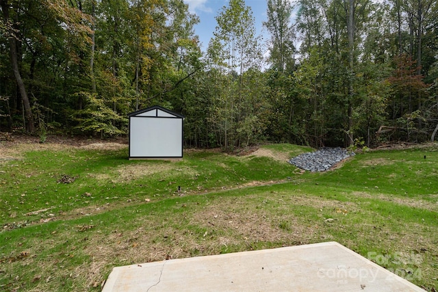 view of yard with a storage shed