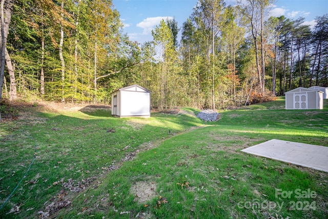 view of yard with a shed