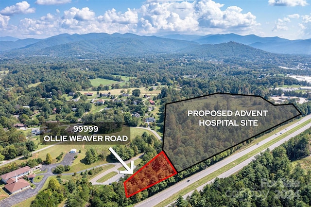 99999 Ollie Weaver Rd, Weaverville NC, 28787 land for sale