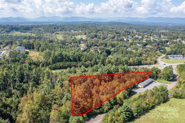 99999 Ollie Weaver Rd, Weaverville, NC 28787