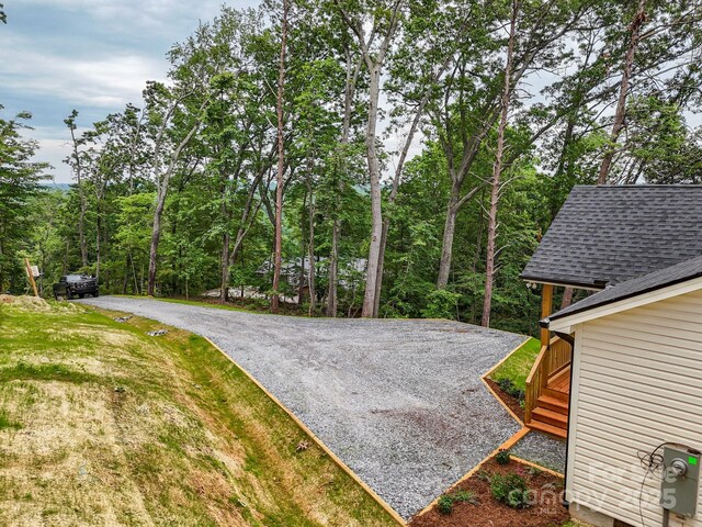 376 Hague Dr, Columbus, NC 28722 - view of yard