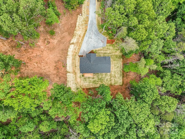376 Hague Dr, Columbus, NC 28722 - aerial view of property and surrounding area