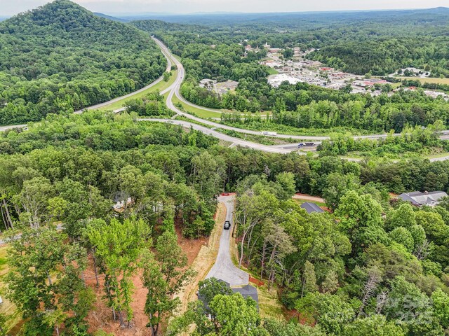 376 Hague Dr, Columbus, NC 28722 - aerial view of a forest