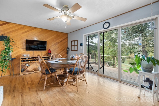 dining room with wooden walls, ceiling fan, and light hardwood / wood-style flooring