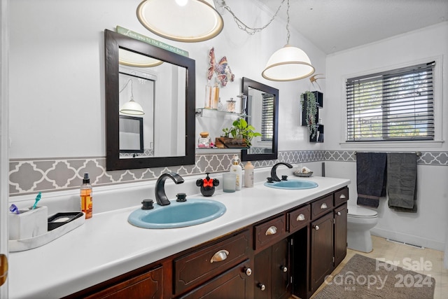 bathroom with toilet and vanity