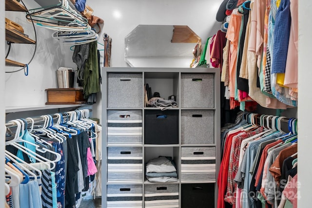 view of spacious closet